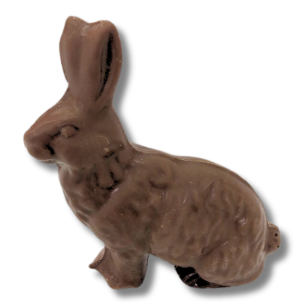 Baby Jack Rabbit