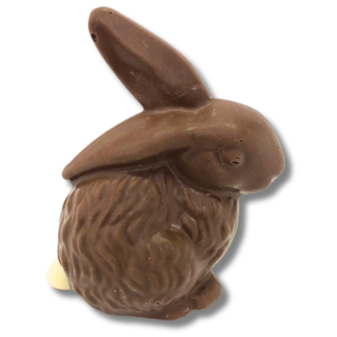 Cottontail Bunny