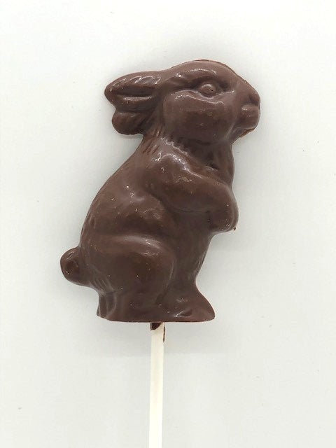 Bunny on a Stick - tied with a ribbon