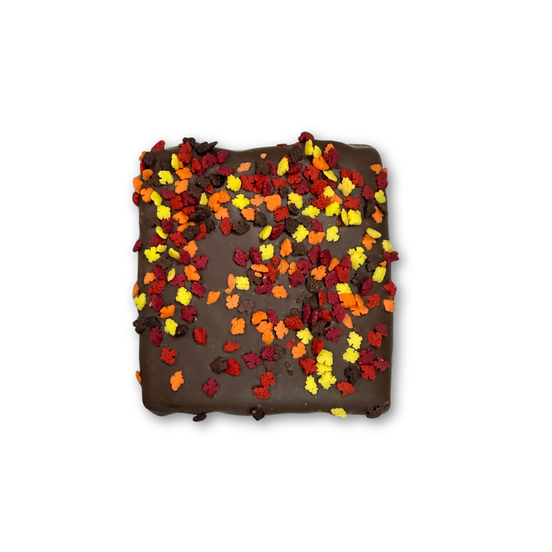Fall Graham Crackers