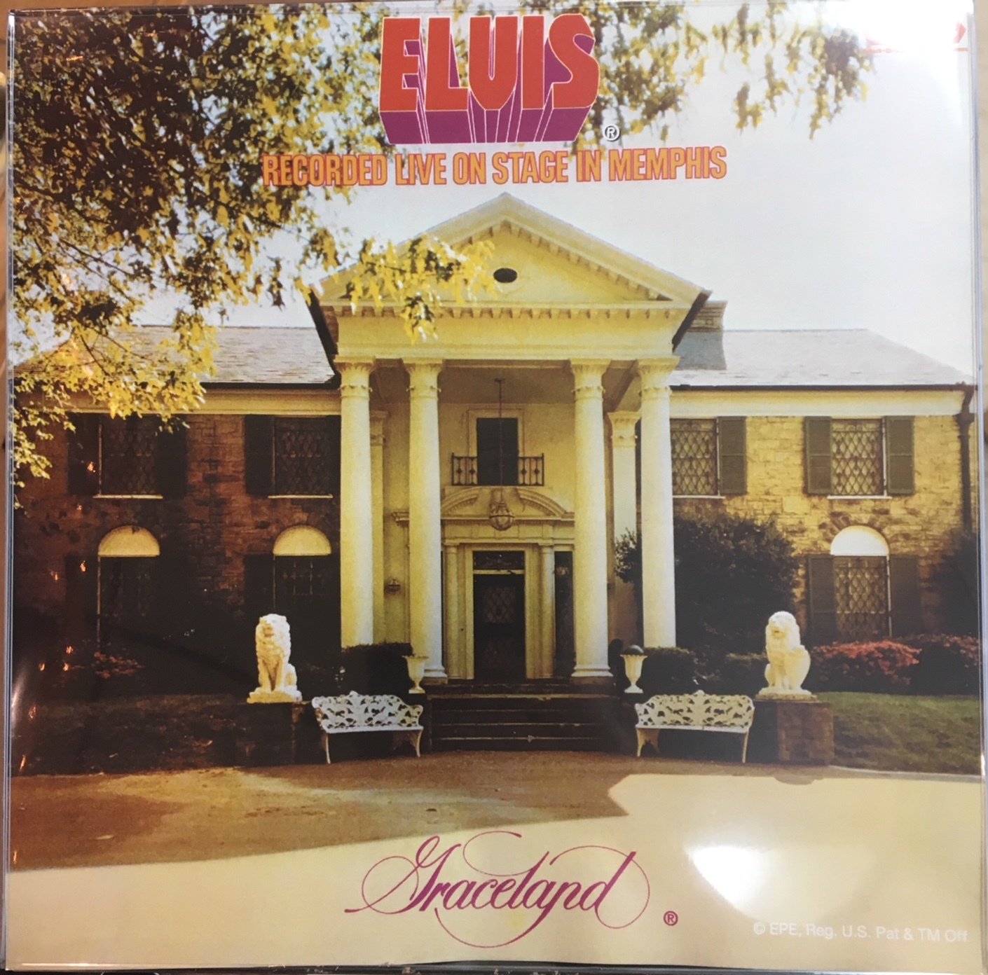 Elvis Chocolate Record - Graceland