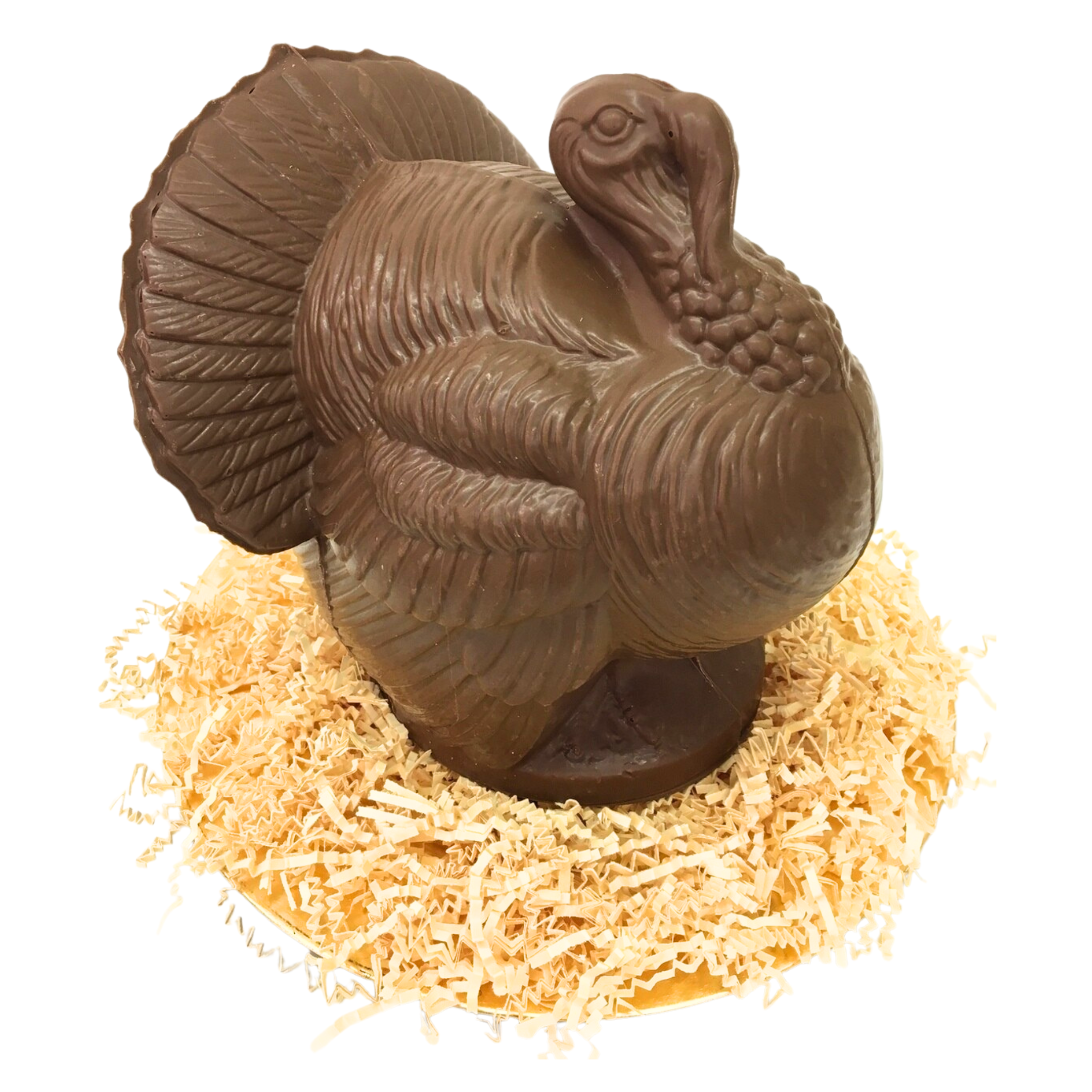 Large Chocolate Turkey