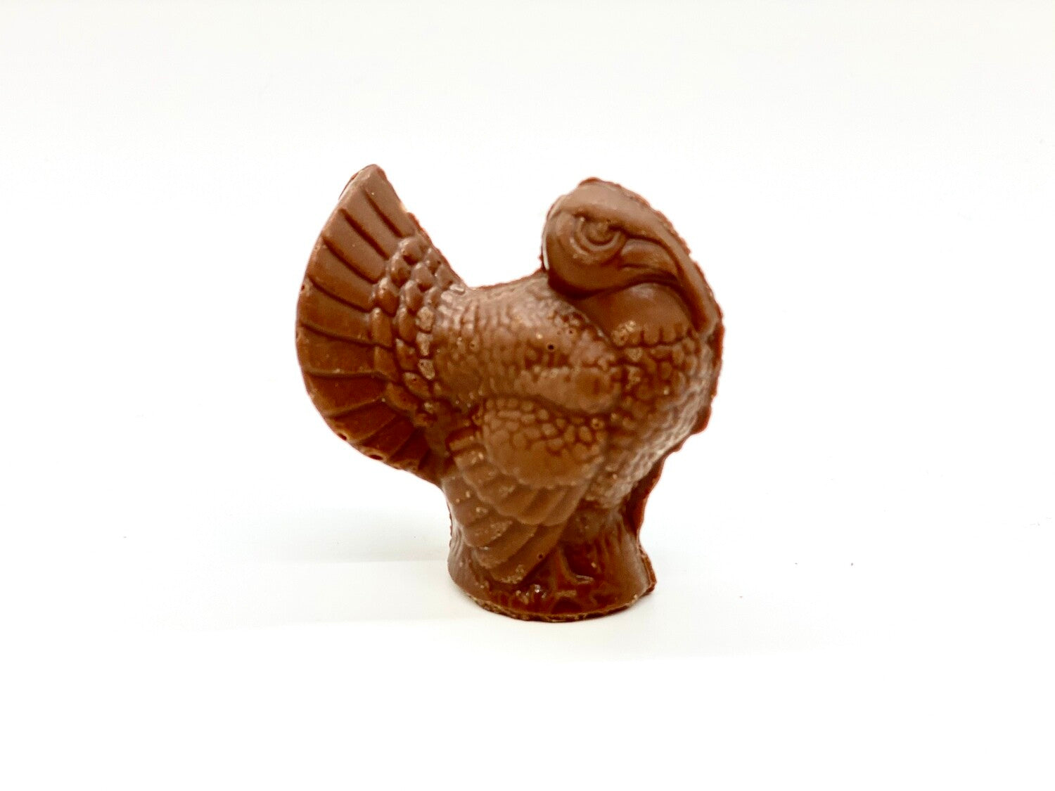 Small Chocolate Turkey