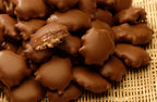 Turtlettes